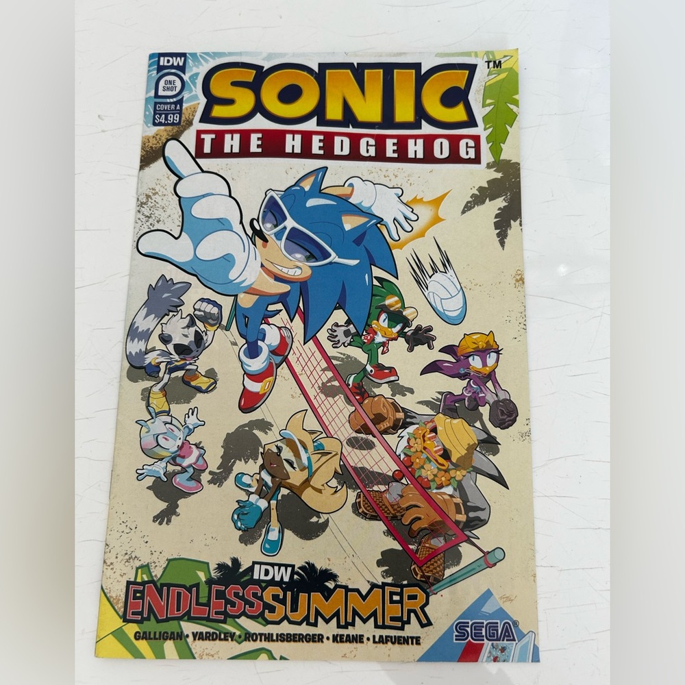2023 Sonic the Hedgehog Endless Summer Comic Book